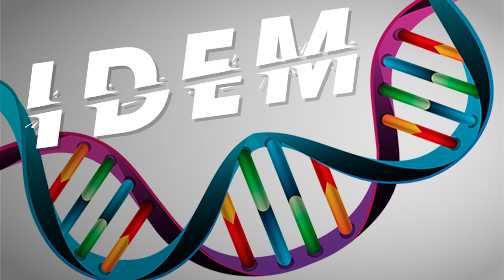 IDEM